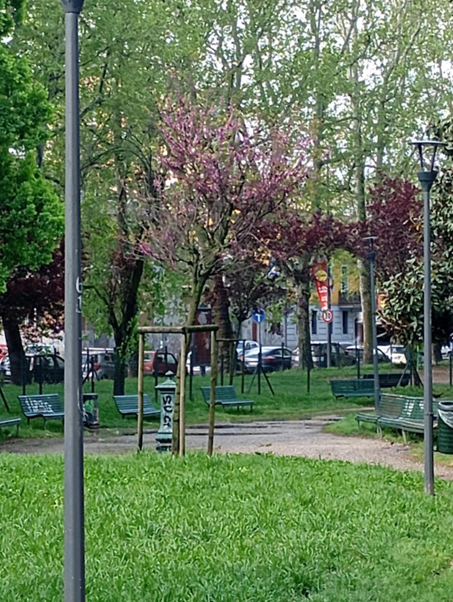 Flores Home, Vintage & Comfort Near Center, Navigli, Bocconi Appartamento *